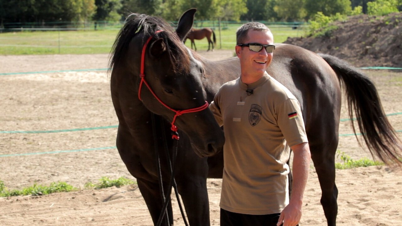Il commilitone silenzioso