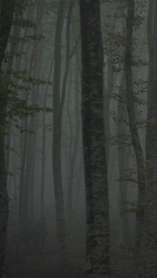 Καταφύγιο II: Το μονοπάτι του πάγου