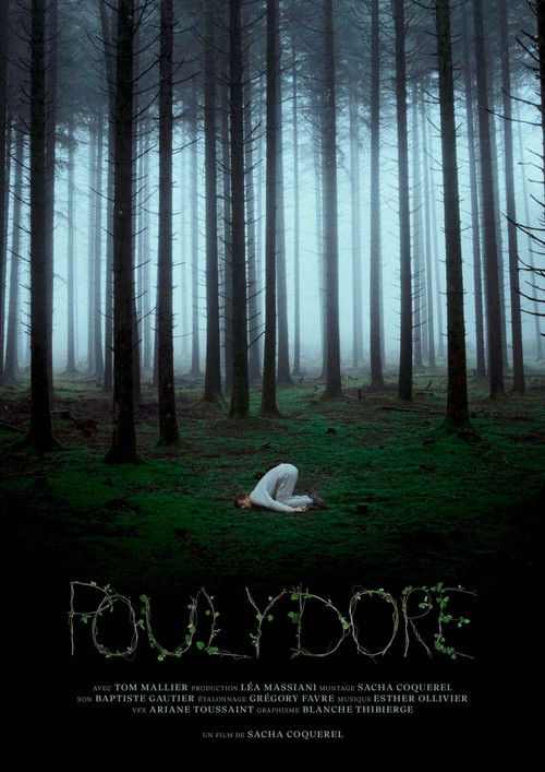 Poulydore