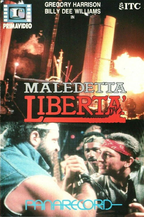 Maledetta libertà