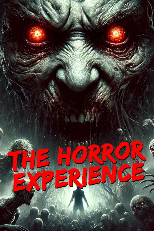 The Horror Experience