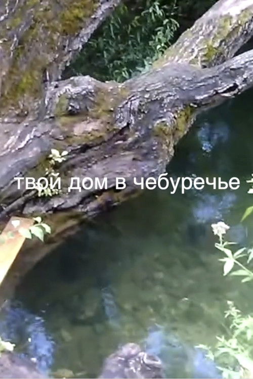 твой дом в Чебуречье
