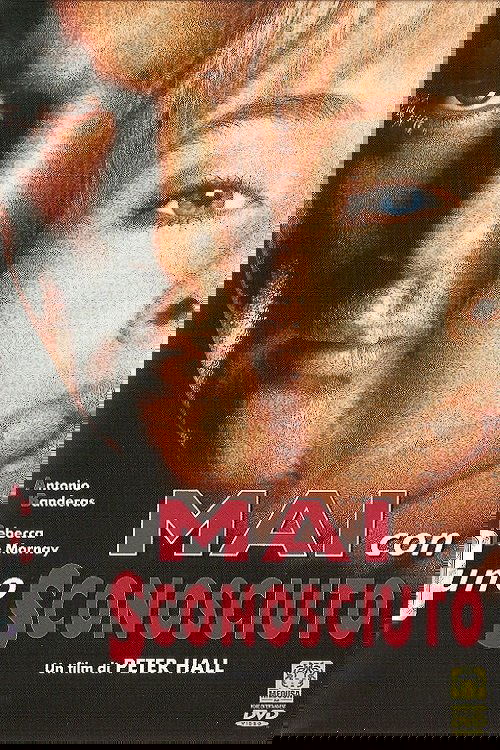 Mai con uno sconosciuto