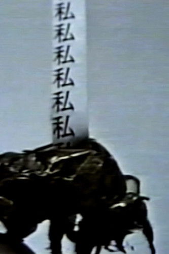 見捨てるほどのワタシはありや？