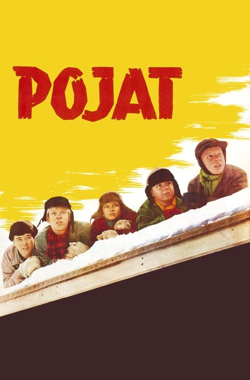 Pojat