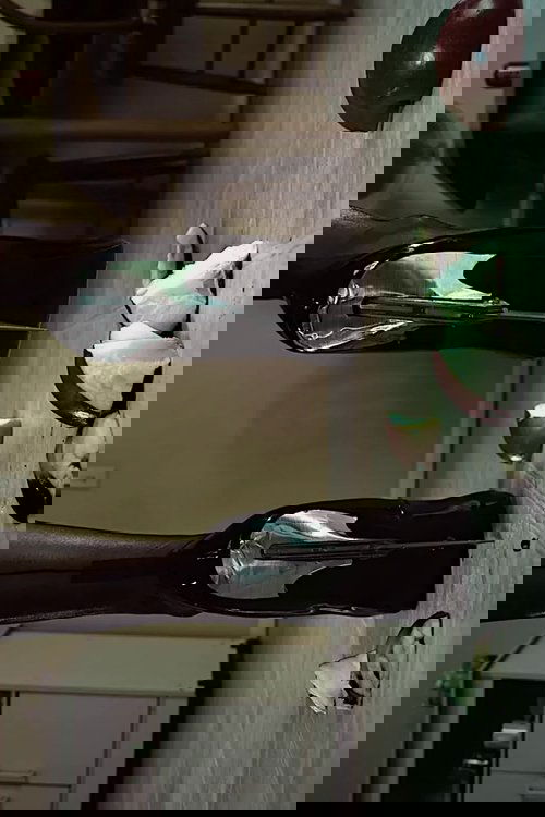 Visionaire 67 Fetish: Sitophilia