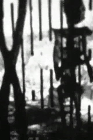 Feature Presentation