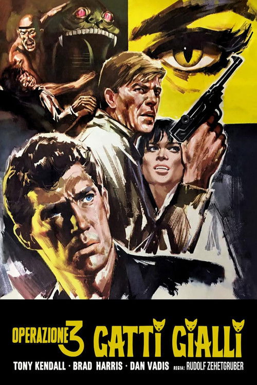Operazione 3 gatti gialli