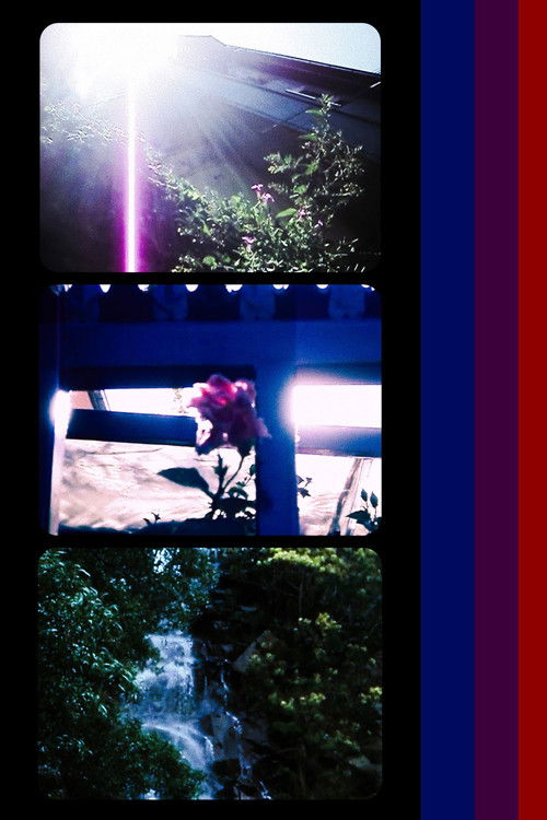 Eco de la Memoria Perdida