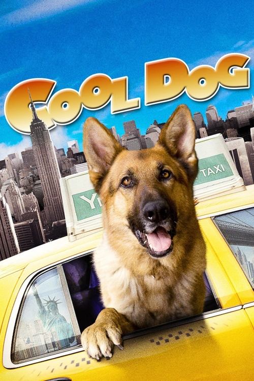 Cool Dog - Rin Tin Tin a New York