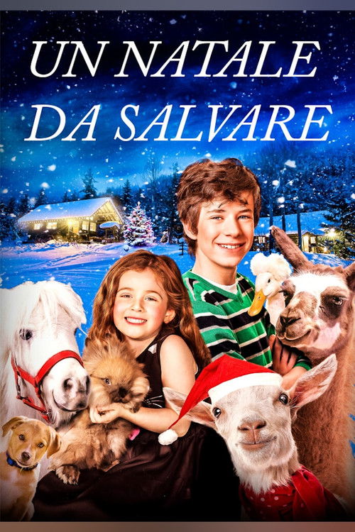 Un Natale da salvare