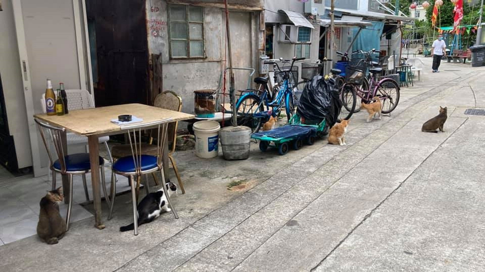 和你寫一封情書