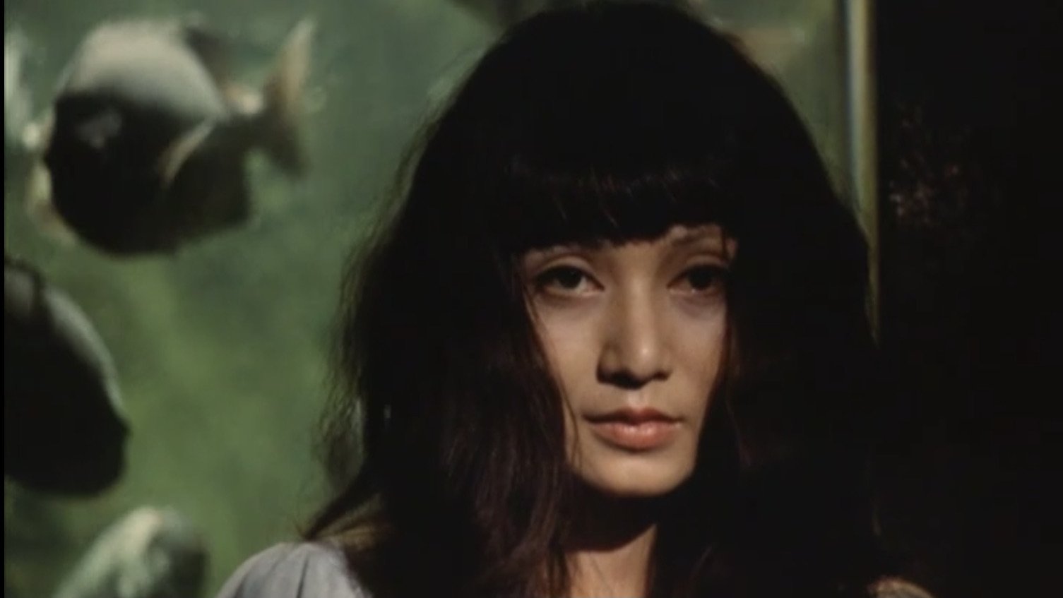 日本妖怪伝 サトリ