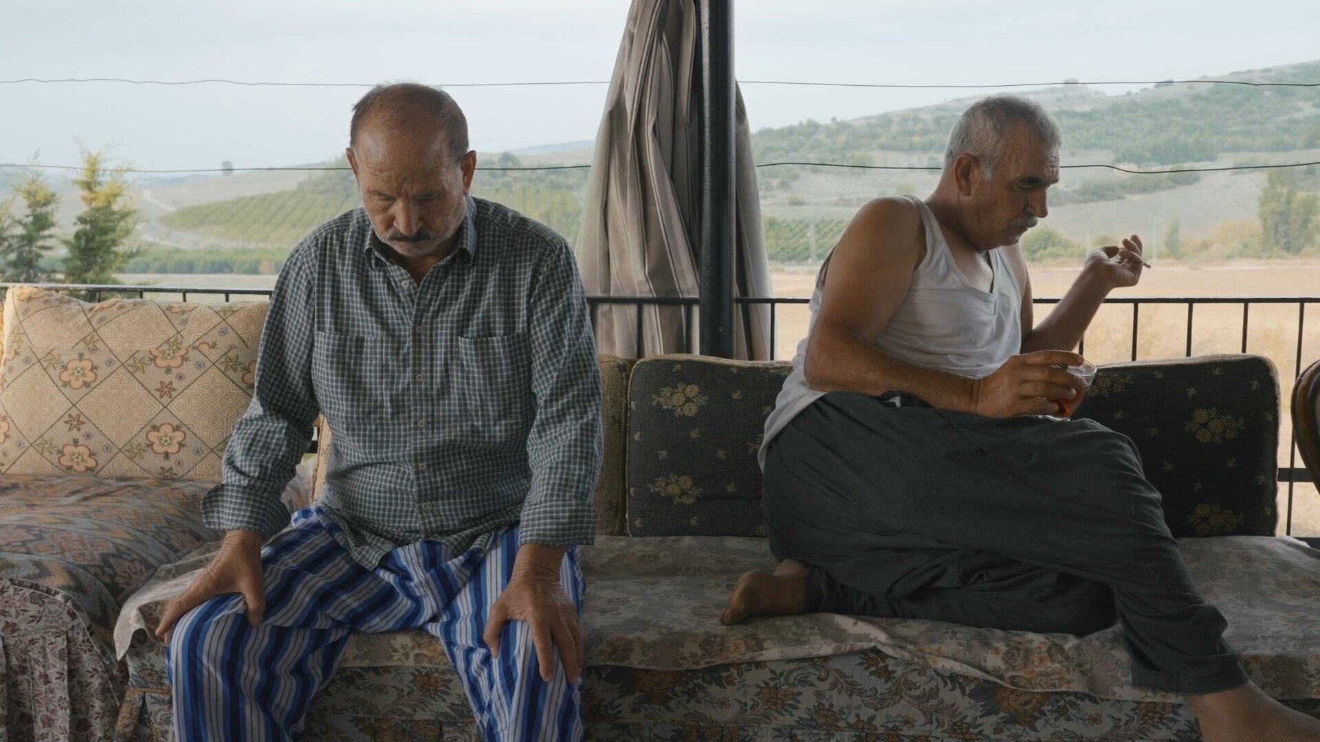 Domates Biber Depresyon