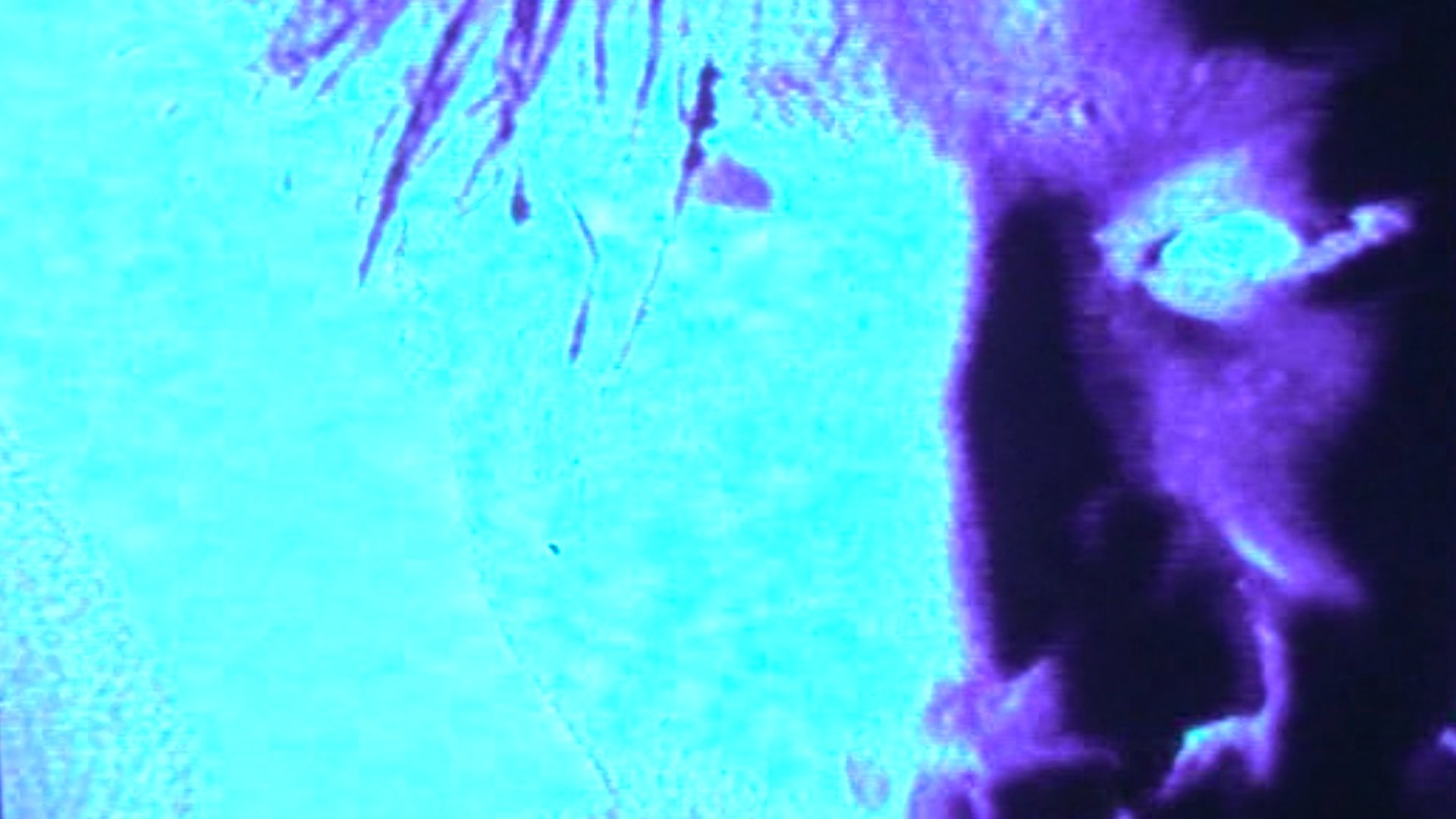 G.I.S.M.「烈波壊虐音群突入911」