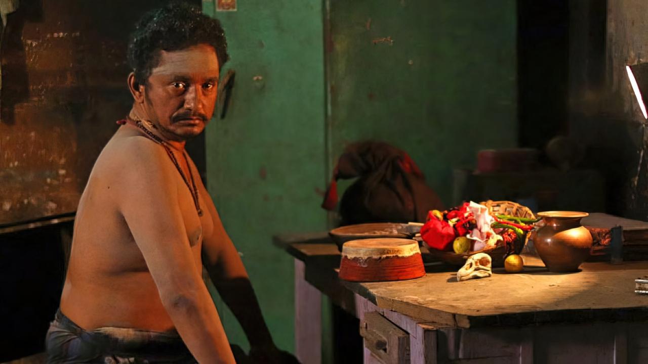 बारडोवी