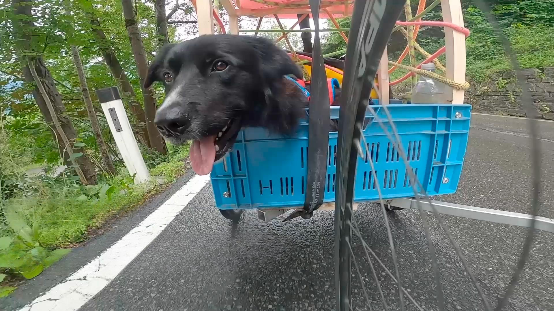 Alpine Trilogy (Doggystyle)