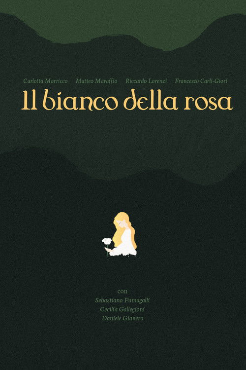 il bianco della rosa